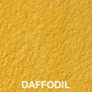 Daffodil
